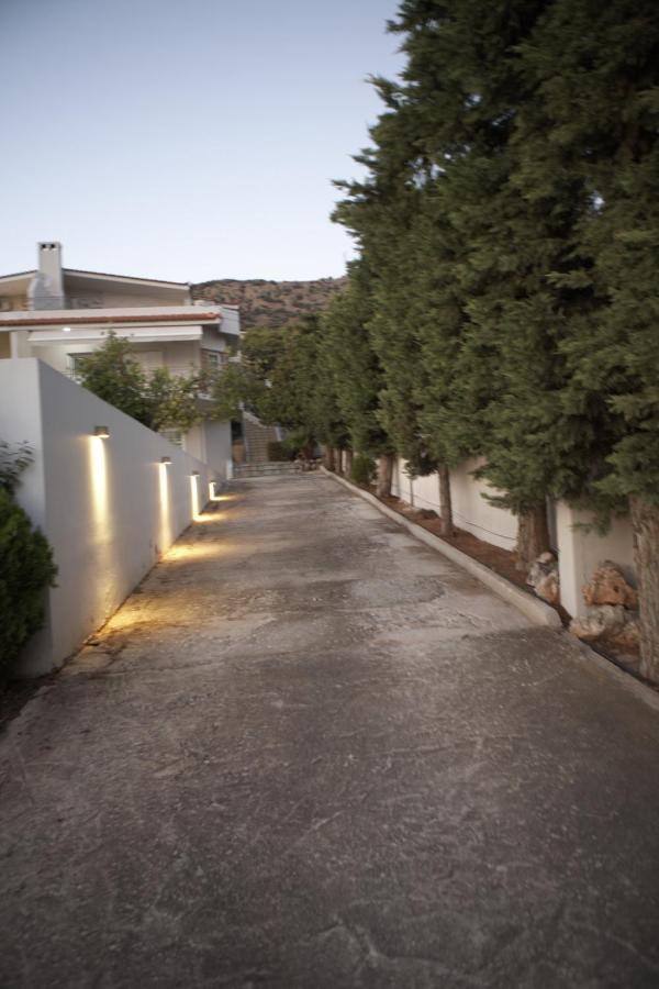 Villa Deep Blue Agia Marina  Exterior foto